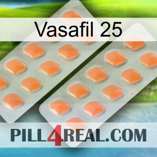 Vasafil 25 27